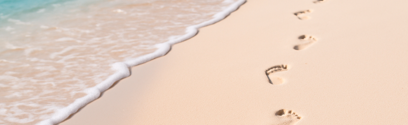 barefoot_banner barefoot_banner